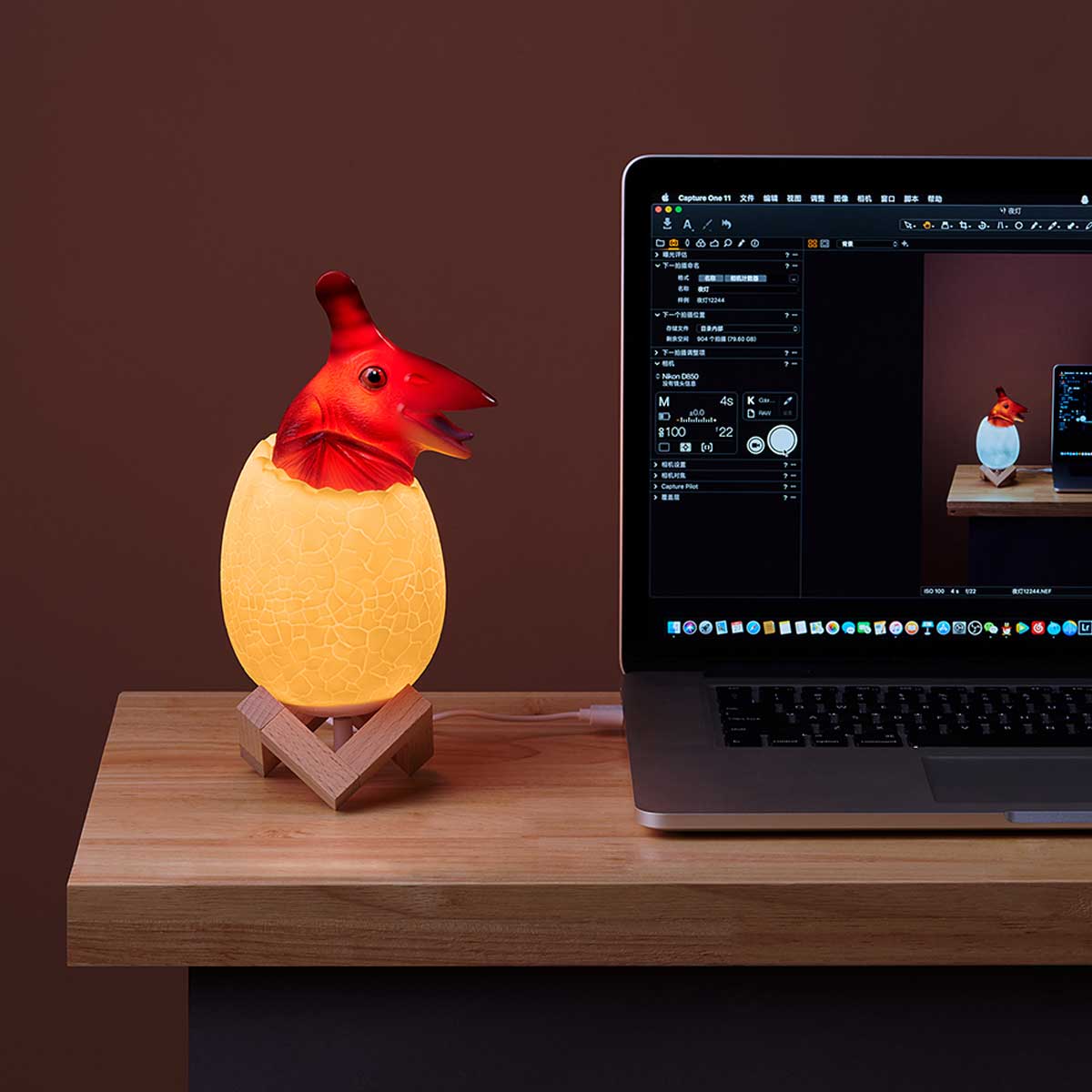 3D Dinosaur Pterosaur LED Lamp